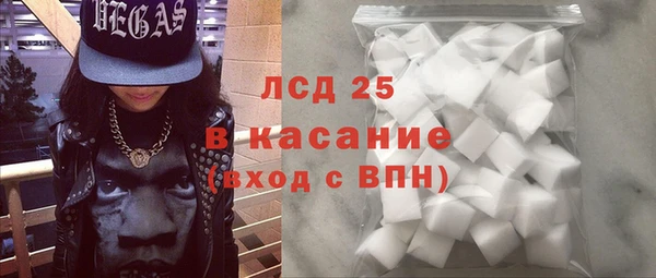 ГАЛЛЮЦИНОГЕННЫЕ ГРИБЫ Аркадак