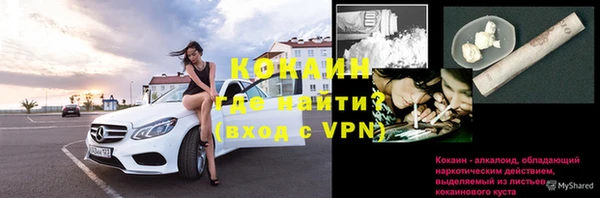стафф Арсеньев