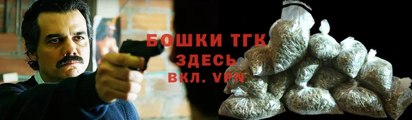 гидра Переславль-Залесский