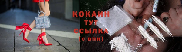 ГАЛЛЮЦИНОГЕННЫЕ ГРИБЫ Аркадак