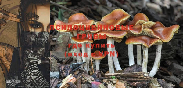 дживик Армянск