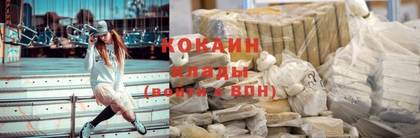 ГАЛЛЮЦИНОГЕННЫЕ ГРИБЫ Аркадак
